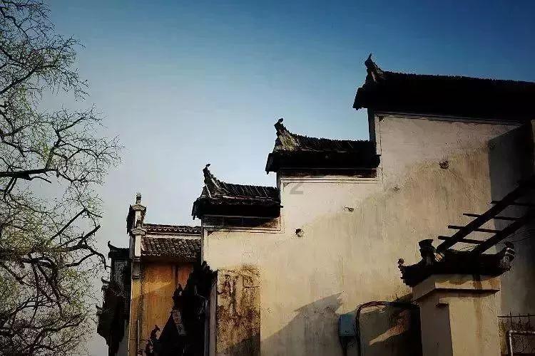 查出结节后谨记少吃三类食物，结节有可能慢慢变小